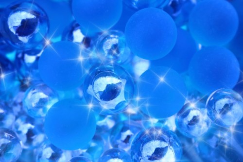 1月16日、1月17日、1月18日、1月19日、1月20日